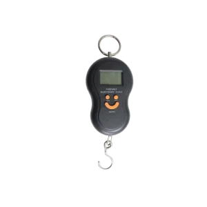 Pesa Digital.
